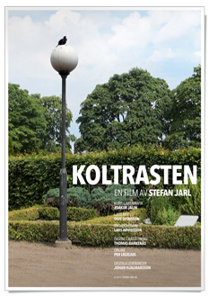 Web-Koltrasten