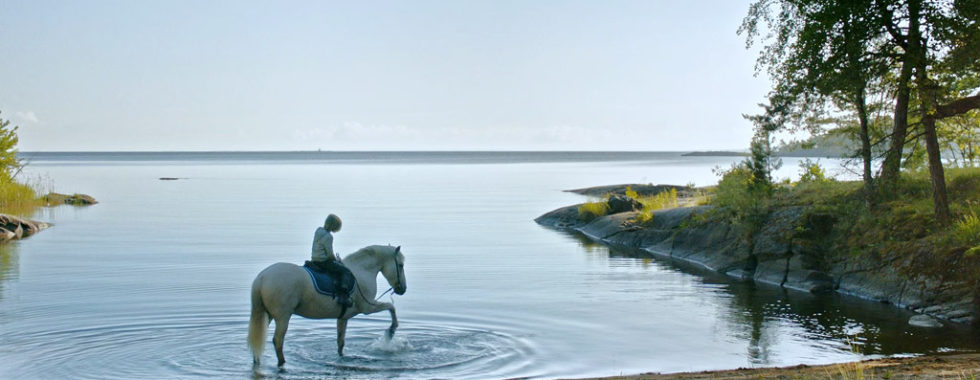 Innan vintern kommer - Pojke på häst